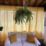 Vakantiehuis Olea SantʼEllero