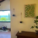 Olea *