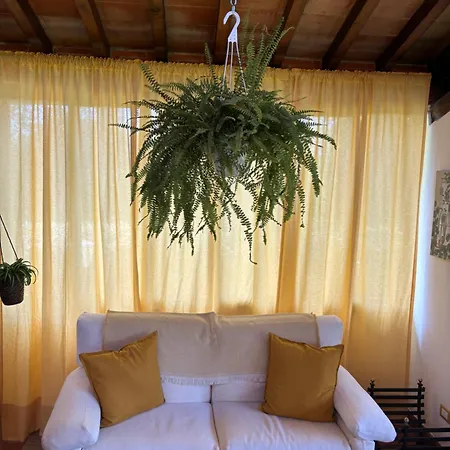 Casa de Férias Olea SantʼEllero